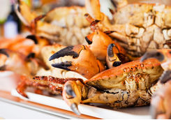 crab and go