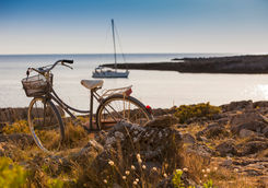 bike coastal landscape