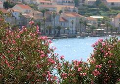 korkula croatia view