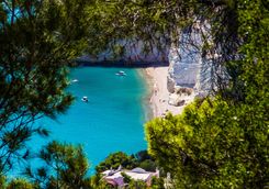 puglia beach through trees