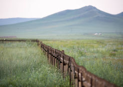 grass land in the steppe