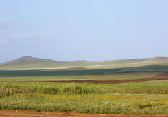 mongolia steppe grassland