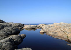 tidal rock pool