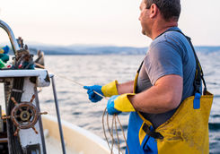 fisherman