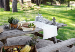 outdoor picnic