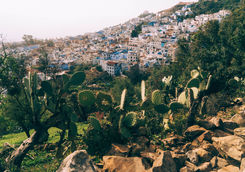 chefchaouen cityscape