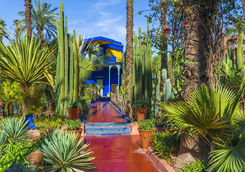 jardin marjorelle