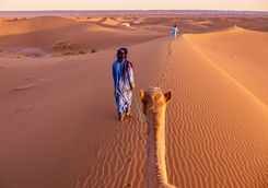 sahara desert