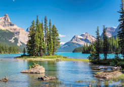 jasper national park