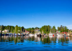 tofino harbour british columbia
