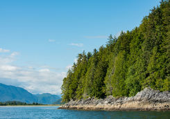 tofino coast