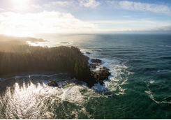 tofino coast aerial