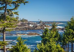 tofino coast