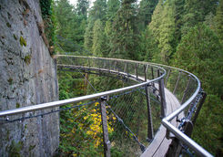 capilano park cliff walk