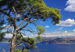 view of the elaphiti islands