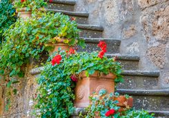 garden steps italy