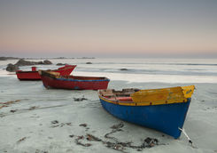 fishing boats