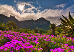 nature valley
