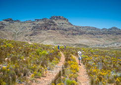 jeep track