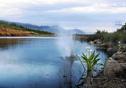 dam cederberg