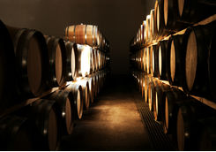 wine cellar
