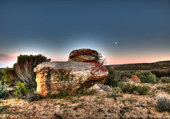 boulder flower moon