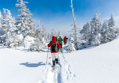 Snowshoeing in Sweden