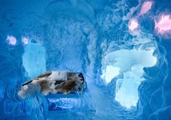 The Ice Hotel, Sweden