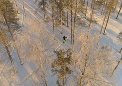 Snowshoeing through Swedish Lapland