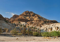 Ein Gedi Negev Israel