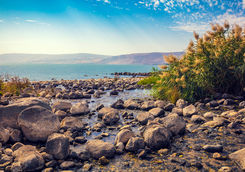 Sea of Galilee near Ein Eyov Waterfall in Tabgha