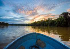 river view from a boat