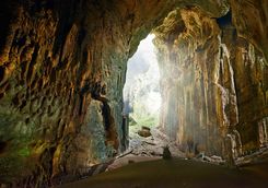 gomantong cave