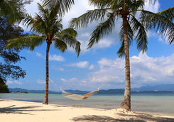 beach hammock