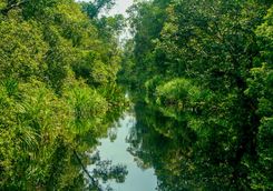 sekonyer river