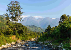 nature rwenzori mountains