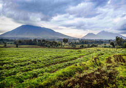 virunga volcano national park