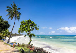 tropical diani beach