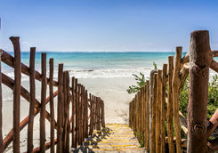 steps to diani beach