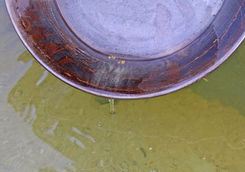 panning for gold