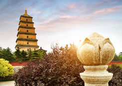 wild goose pagoda