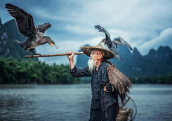 cormorant fisherman