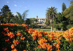 tintenpalast in windhoek