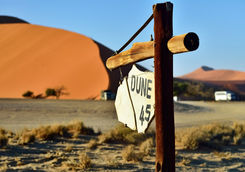 dune 45 sign