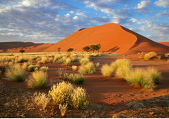 sossusvlei sand dune