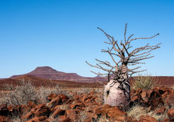 desert view twfelfontein