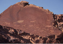 petroglyphs twfelfontein