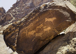 rock art twyfellfontein