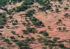 okonjima game reserve