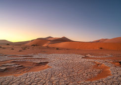 big daddy dune